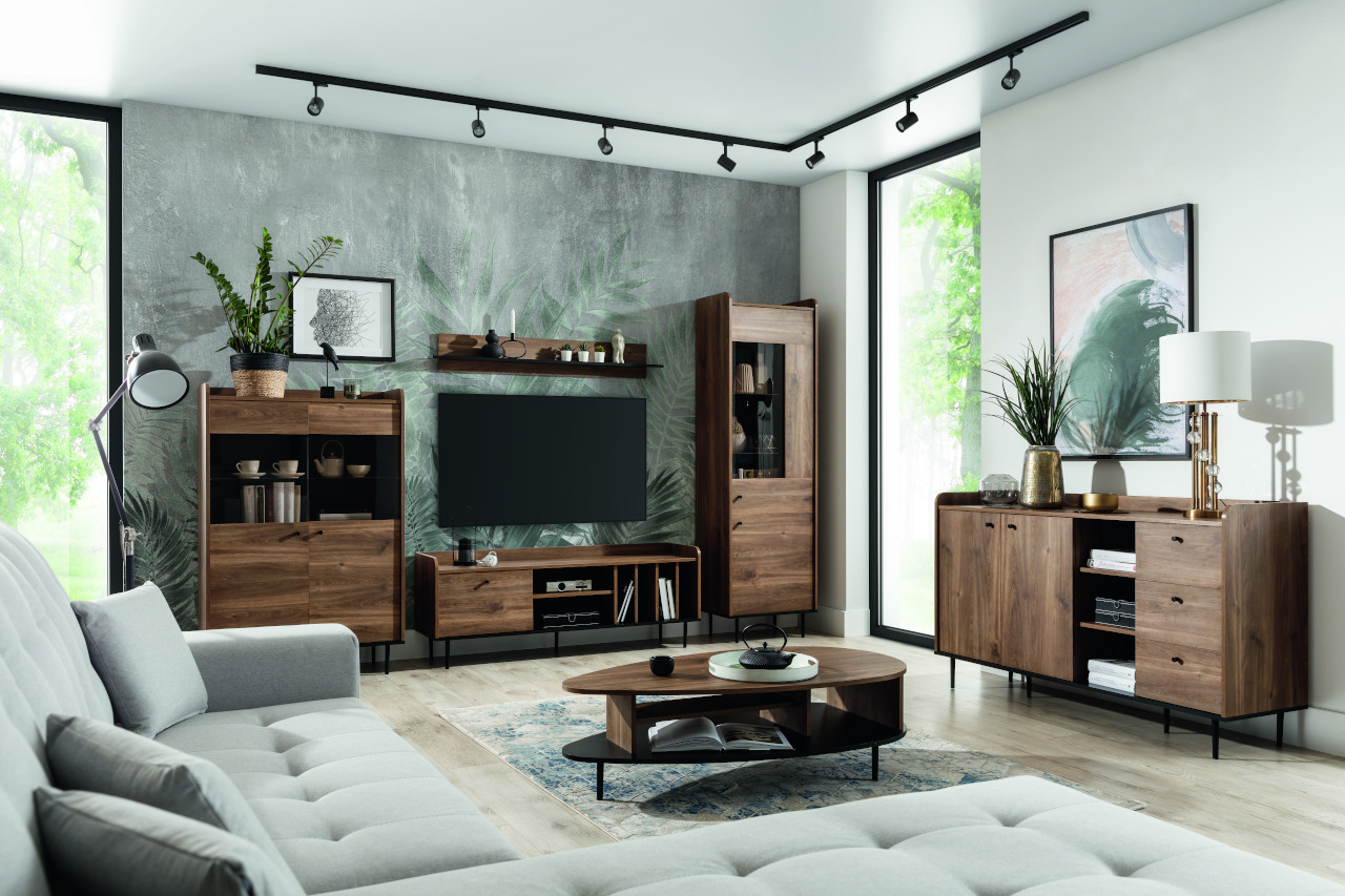 Meble do salonu VASINA