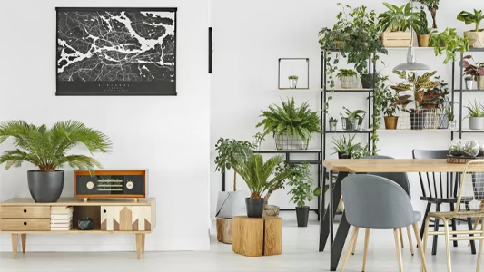 Drewno i zieleń – styl botanic we wnętrzu