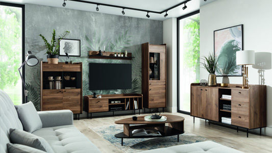 Meble do salonu VASINA - nowoczesność z nutą klasyki 